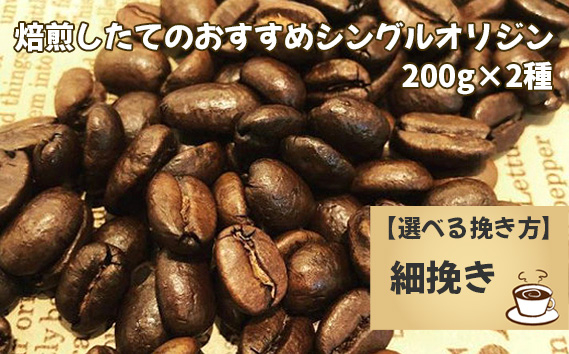 No.170-04 焙煎したてのおすすめシングルオリジン 200g×2種（細挽き）