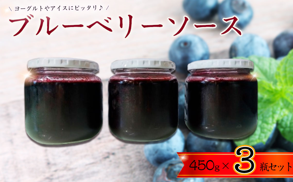 No.359 ブルーベリーソース3瓶セット