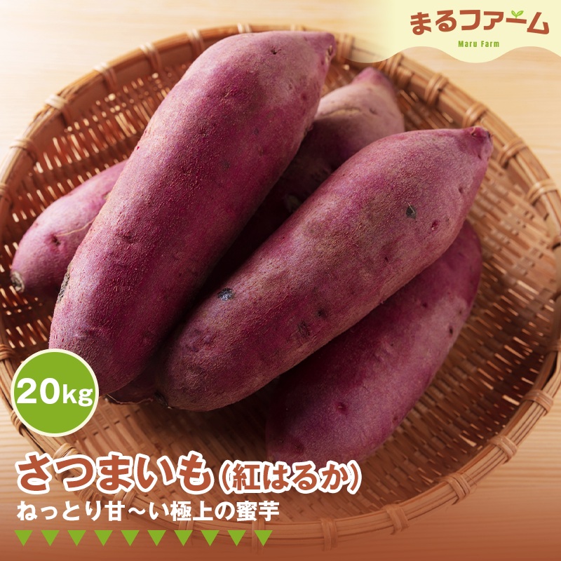 サツマイモ（紅はるか） 20kg No.387