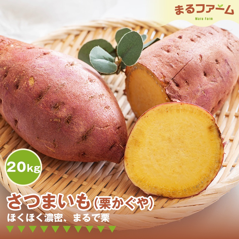 サツマイモ（栗かぐや） 20kg No.386