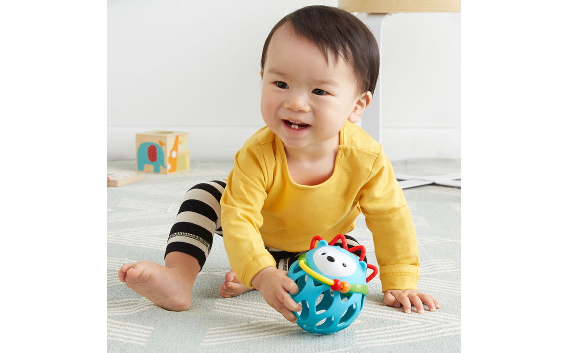 ãã€ããŒã±ãŒã/ããŒã«ã¢ã©ãŠã³ãã©ãã«/ãããžãã©ãã° No.343-02