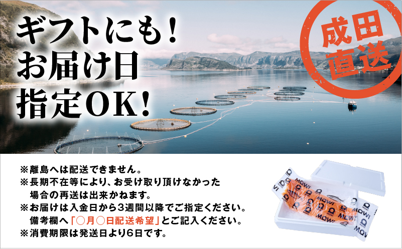 繧オ繝シ繝「繝ウ 繝「繧ヲ繧、繝斐Η繧「繝サ繧オ繝シ繝「繝ウ 1譫 900g莉・荳 讌オ荳 逕溘し繝シ繝「繝ウ 蛻コ霄ォ 繝弱Ν繧ヲ繧ァ繝シ繧オ繝シ繝「繝ウ 譁ー魄ョ 豬キ魄ョ 鬲壻サ