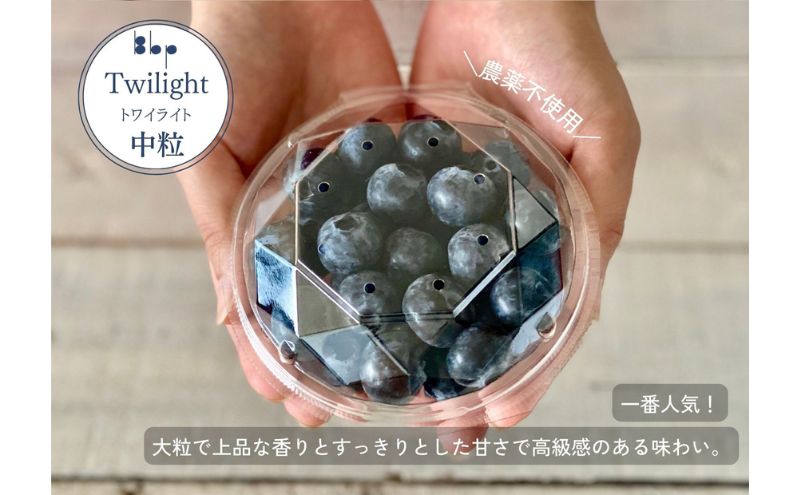 【栽培期間中農薬不使用】フレッシュブルーベリー　(トワイライト中粒100g×4）
