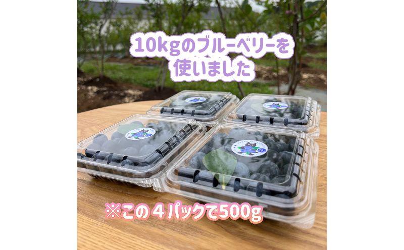 ãžã§ã©ãŒã æ¿ã!å°ããªãã«ãŒããªãŒèŸ²åã®ãè€çŸãžã§ã©ãŒã ãã«ãŒããªãŒ ã¢ã€ã¹ ãã«ã¯ æ¿å ã»ãã ã¹ã€ãŒã ãã¶ãŒã å·å ãè€çŸ ã®ãã ãã¬ãŒã³ã èŽãç© ãåãå¯ã æç°åž åèç