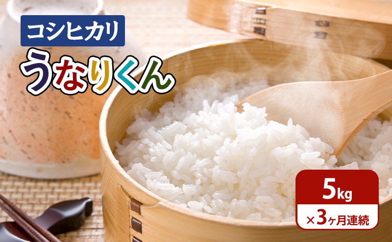 【令和6年度産】3ヶ月連続お届け「コシヒカリ」うなりくん5kg 白米 精米 米 こしひかり 成田市 千葉県