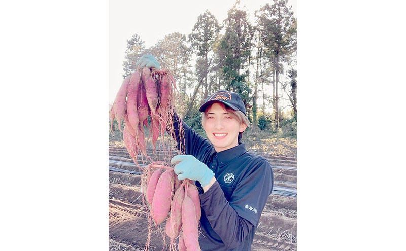 べにはるか2.5kg　紅はるか サツマイモ さつまいも 芋 千葉県 成田市