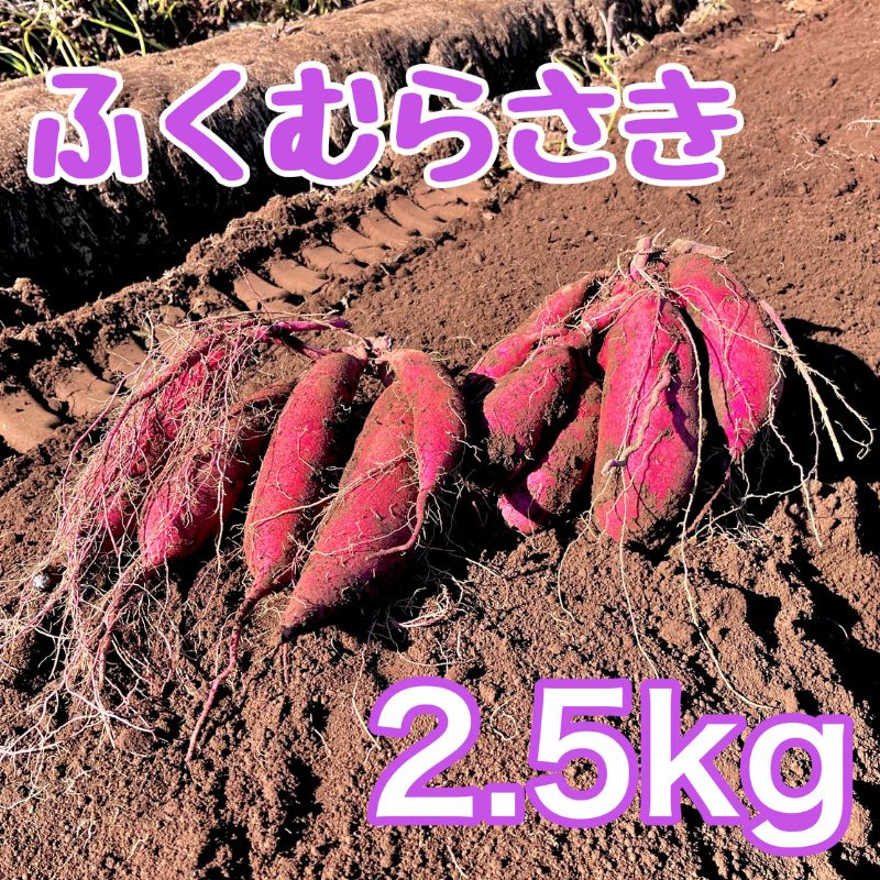 【ふるさと納税】ふくむらさき2.5kg　サツマイモ さつまいも 芋 千葉県 成田市