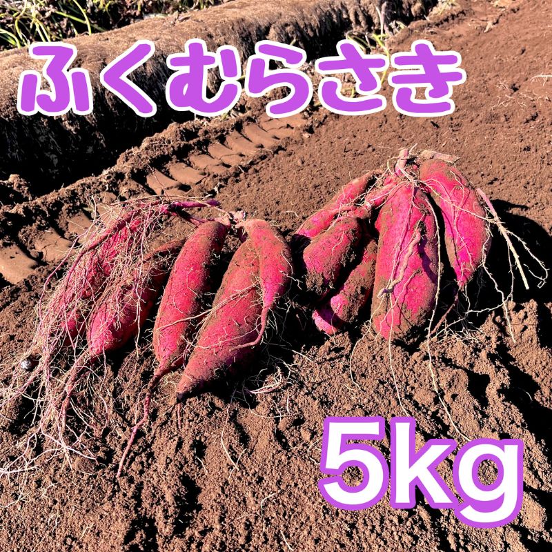 【ふるさと納税】ふくむらさき5kg　サツマイモ さつまいも 芋 千葉県 成田市