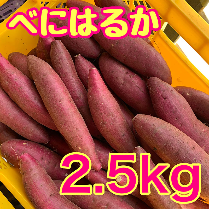 【ふるさと納税】べにはるか2.5kg　紅はるか サツマイモ さつまいも 芋 千葉県 成田市