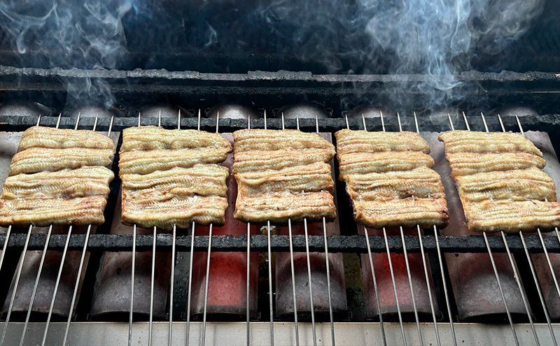 うなぎ新川 蒲焼き（国産中サイズ）2袋入り 鰻 うなぎ蒲焼 蒲焼 国産 国産うなぎ 三河一色産 タレ付き うな重 冷凍 成田市 千葉県