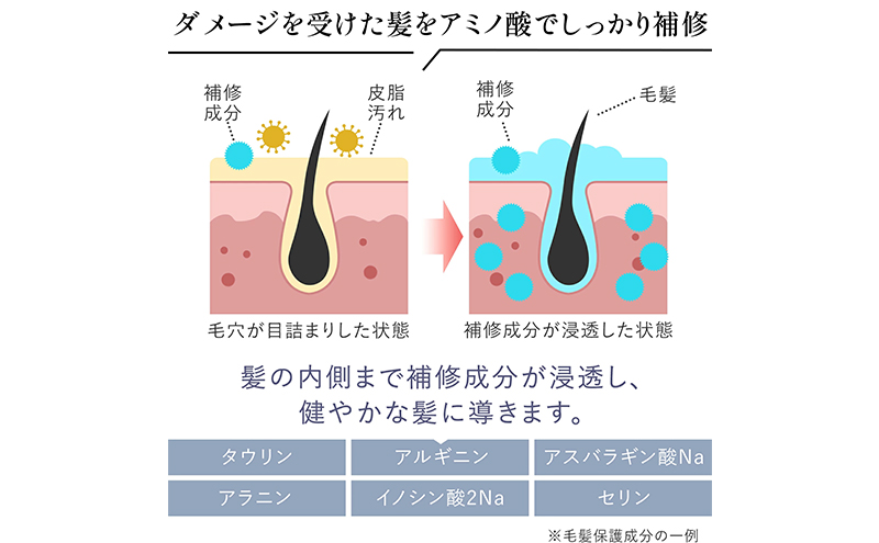 ノンシリコンアミノ酸シャンプー/コンディショナー 衣薫（ころもかおる）ボトルセット ドライヘア ダメージヘア 地肌に優しい 天然由来成分 髪滑らか サラり 艶髪 頭皮ケア