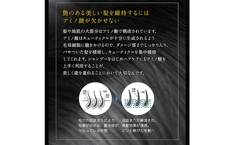 ノンシリコン アミノ酸スキャルプケアコンディショナー草花（そうか）ボトル［医薬部外品］ 薬用 スキャルプケア コンディショナー 地肌に優しい 天然由来成分 頭皮トラブル 美髪