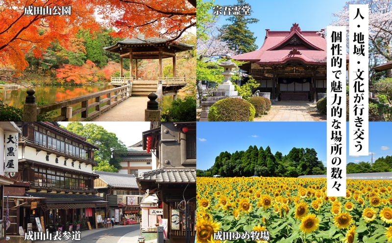 千葉県 成田市 旅行クーポン 900,000円分 成田空港 成田山 新勝寺 観光 旅行 ホテル 旅館 老舗 高級 トラベル チケット 家族 カップル 宿泊 予約 おすすめ 旅行券 宿泊券