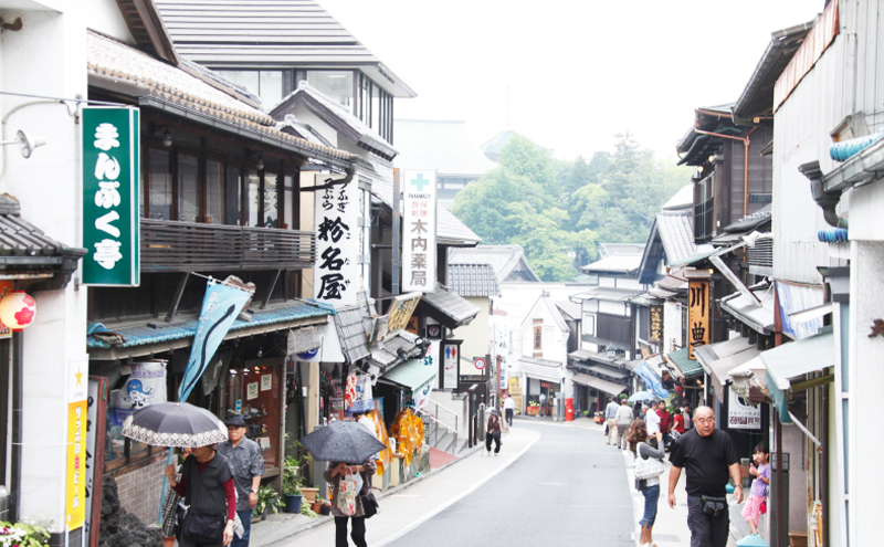 【成田山門前　旅館　若松本店】日帰り・ご宿泊で使えるクーポン10,000円分 チケット クーポン 食事 ランチ 宴会 宿泊 老舗旅館 成田山 成田市 千葉県