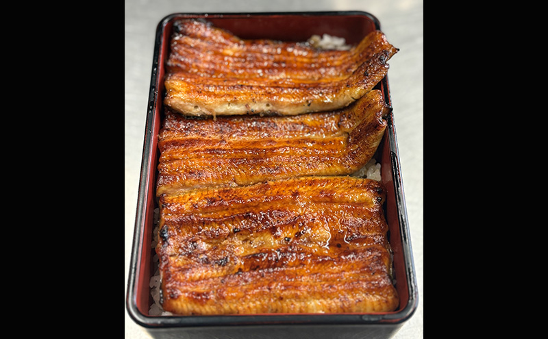 鰻 うなぎ新川 蒲焼き（国産・並）5袋入り うなぎ ウナギ うなぎ蒲焼 蒲焼 国産 国産うなぎ 三河一色産 タレ付き うな重 冷凍 成田市 千葉県