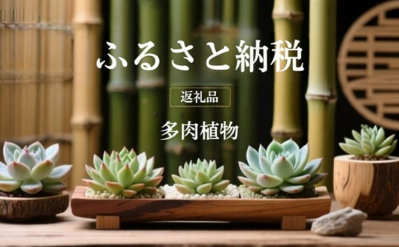 縲舌オ繧九&縺ィ邏咲ィ弱大、夊i讀咲黄 繧ィ繧ア繝吶Μ繧「 繧サ繝繝 縺贋ササ縺 50譬ェ繧サ繝繝 蛻闍 隧ー繧∝粋繧上○ 逋偵@縺ョ縺翫@繧繧後う繝ウ繝繝ェ繧「 隕ウ闡画、咲黄 繧ャ繝シ繝繝九Φ繧ー 繝溘ル繧ー繝ェ繝シ繝ウ 蜊闡臥恁 謌千伐蟶