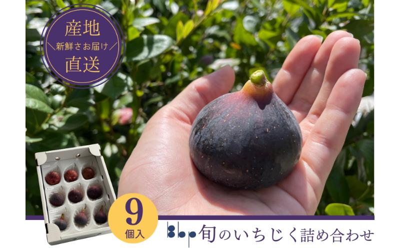 旬のいちじく詰め合わせ　 9個入り　果物 フルーツ 国産フルーツ イチジク ビオレドーフィン ビオレソリエス 産地直送 詰合せ 食べ比べ 千葉県 成田市