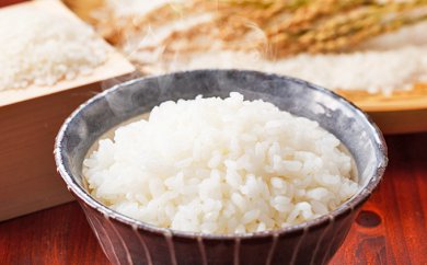 米 伊能歌舞伎米 コシヒカリ 5kg お米 精米 ブランド米 白米 大粒 ご飯 低たんぱく