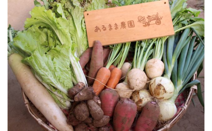 【農家直送】農薬不使用季節の野菜セット（10品）