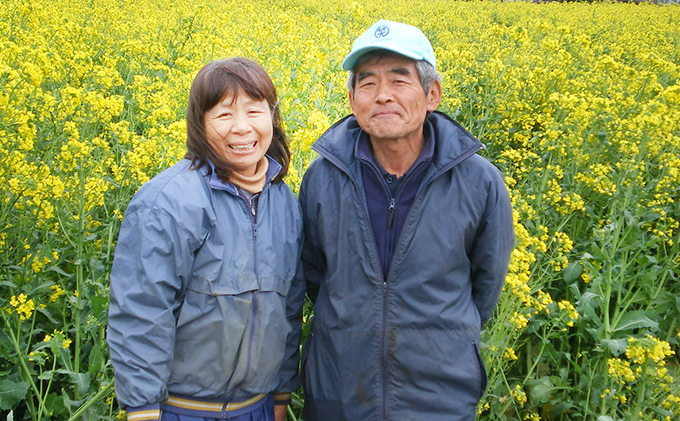 おかげさま農場の野菜のおまかせセット（無化学農薬・肥料栽培）