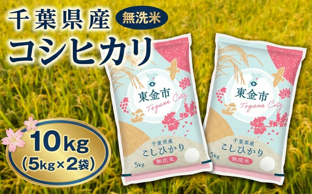【令和7年産】千葉県産コシヒカリ10kg無洗米（5kg×2袋）