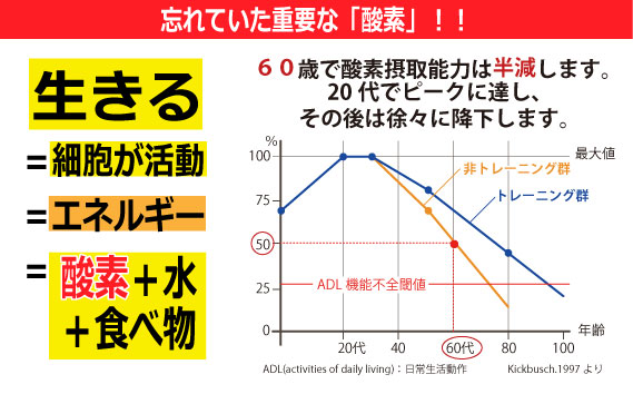 No.164 驟ク邏陬懃オヲ豌エWOX繧ヲ繧ゥ繝繧ッ繧ケ 500mlテ6譛ャ