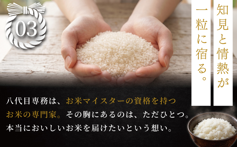【コシヒカリ 5kg】 【2026年9月以降発送】 米 お米 こしひかり 【令和8年度産】 新米 こめ コメ おこめ okome kome 国産 精米 白米 肉 にあう 魚 にあう おむすび おにぎり おかず にあう 美味しい