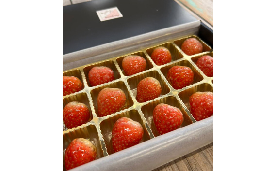 No.126 ストロベリーアイスキャンディ DX