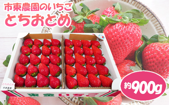No.076 【市東農園のいちご】とちおとめ　約900g