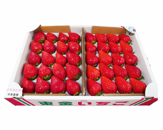 No.076 ãåžæ±èŸ²åã®ãã¡ãããšã¡ããšããçŽ900g