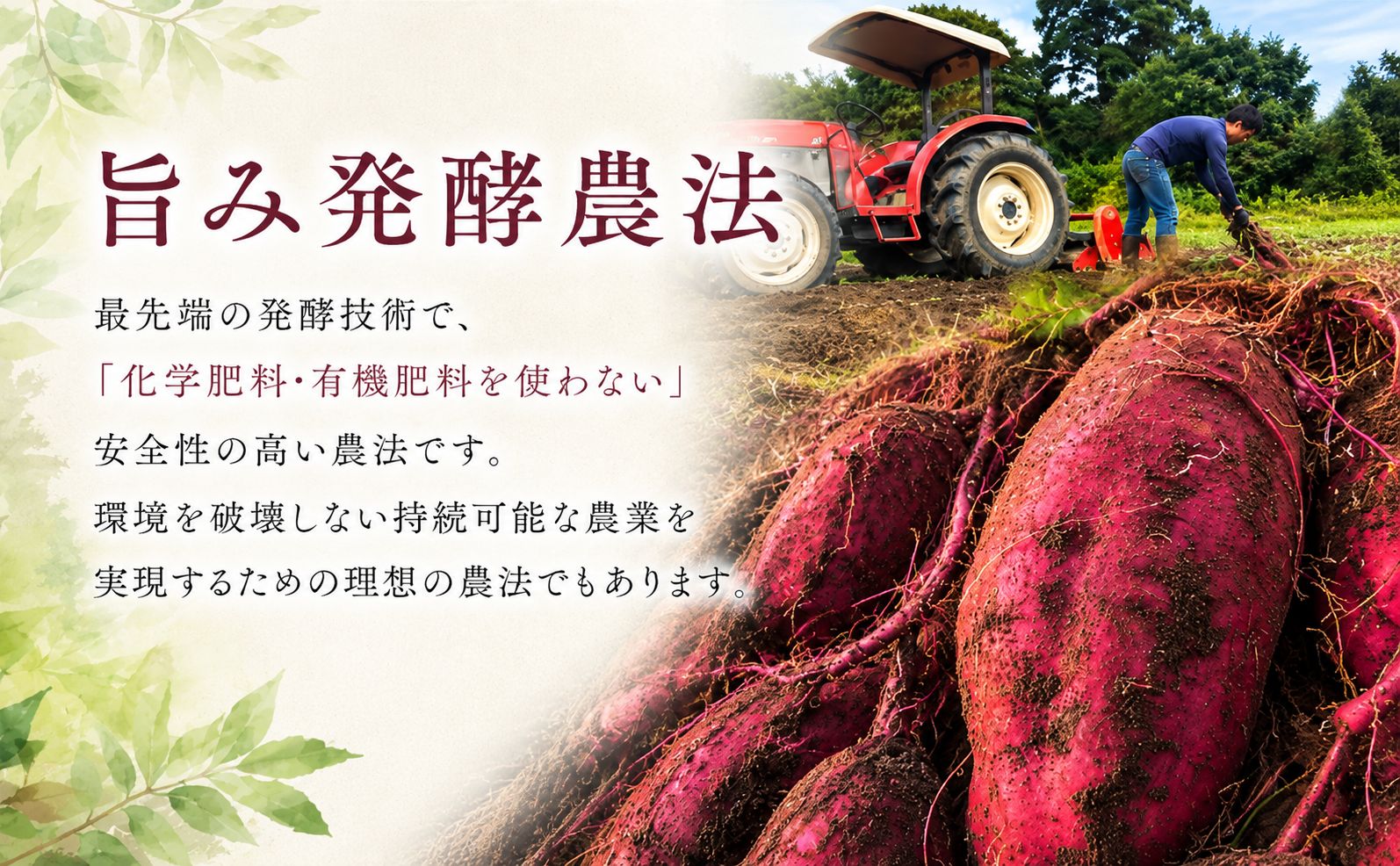 æšèè 5kg çŽ
ã¯ãã çŒãè ãã€ãŸãã ãµããã€ã¢