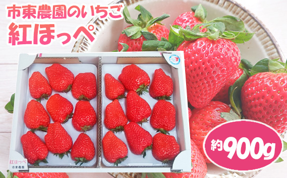 No.077 【市東農園のいちご】紅ほっぺ　約900g