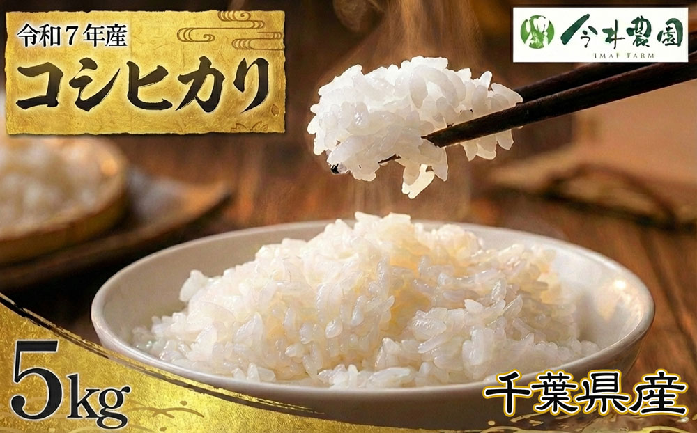 【令和7年産】千葉県産コシヒカリ（精米）5kg