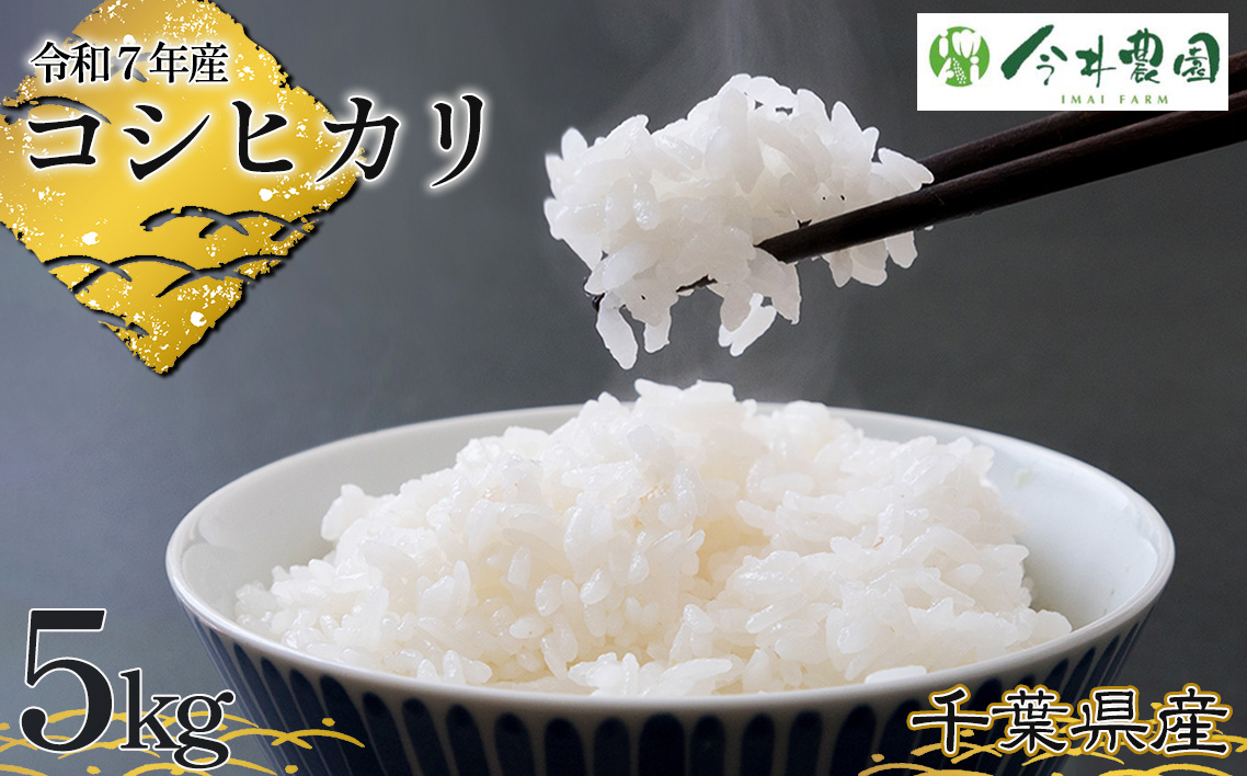 No.302 【令和7年産】千葉県産コシヒカリ（精米）5kg