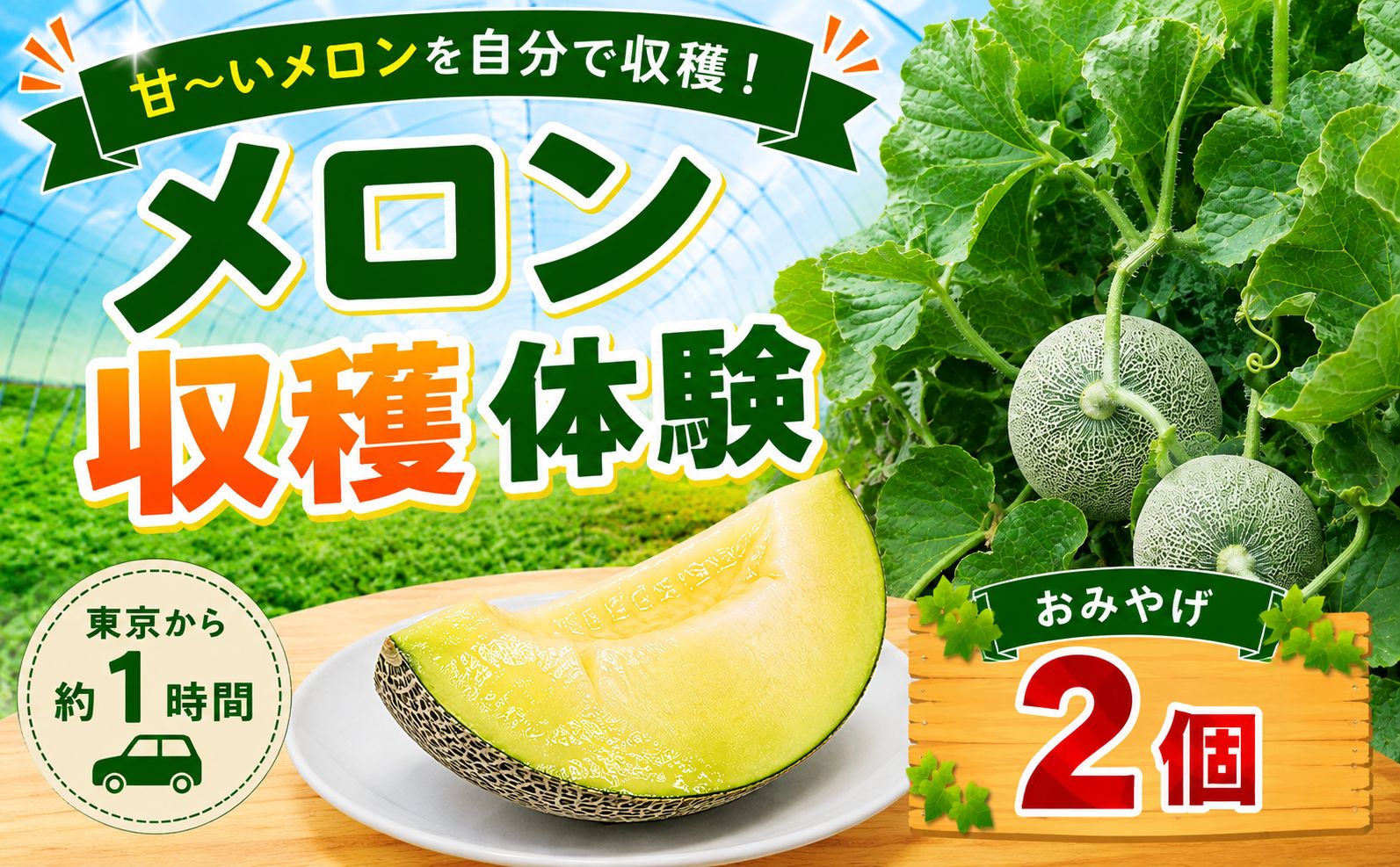 メロン 収穫体験 2～3個 お持ち帰り付き 1グループ様 めろん たかみ 国産 夏