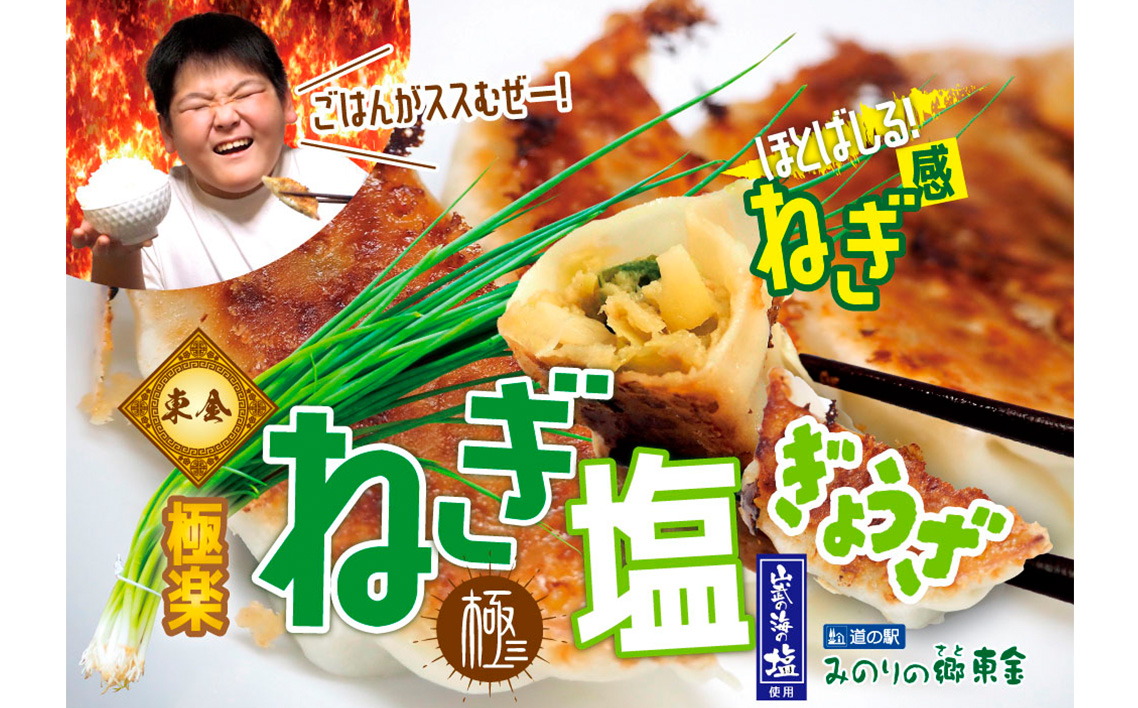 No.345 東金極楽ねぎ塩ぎょうざ5袋セット　20個入×5