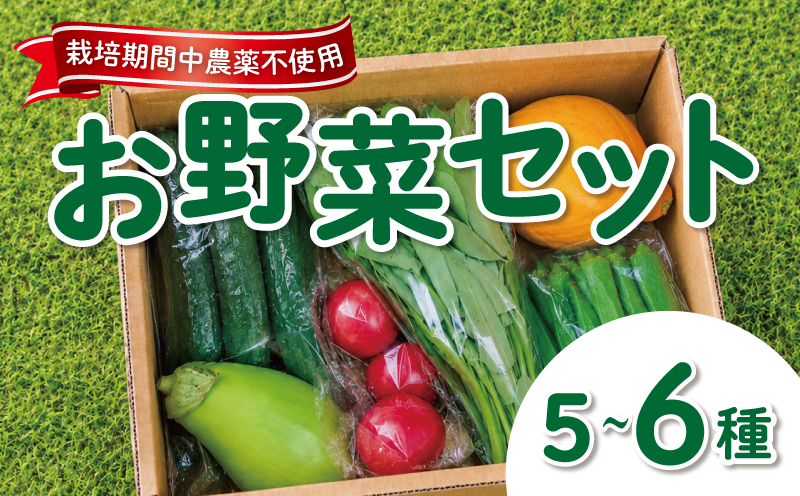 野菜セット 5~6品目