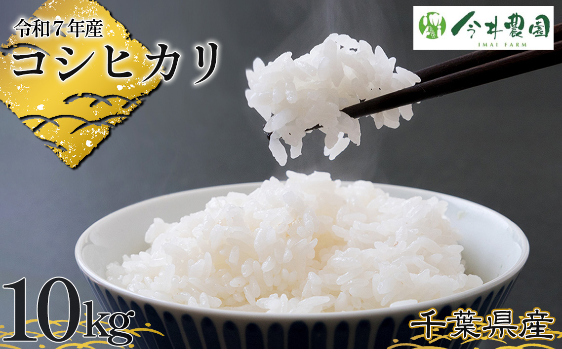 No.306 【令和7年産】千葉県産コシヒカリ（精米）10kg
