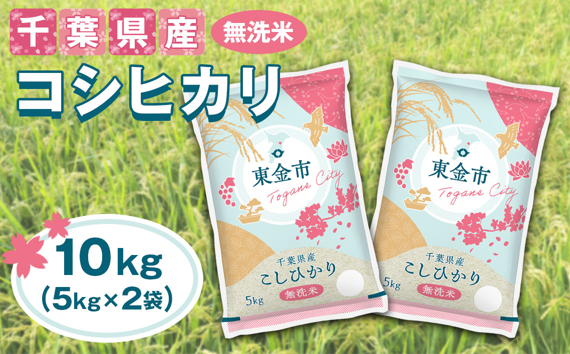 No.232 【令和7年産】千葉県産コシヒカリ10kg無洗米（5kg×2袋）