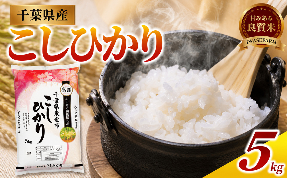 [コシヒカリ 5kg] 米 お米 こめ コメ こしひかり [令和7年度産] [千葉県産] kome okome 精米 白米 ご飯 ごはん 米 ごはん 備蓄米 国産 炊飯 ※ ブランド米 甘い ツヤ ギフト 贈答 甘み 粘り 香り リピート kosihikari