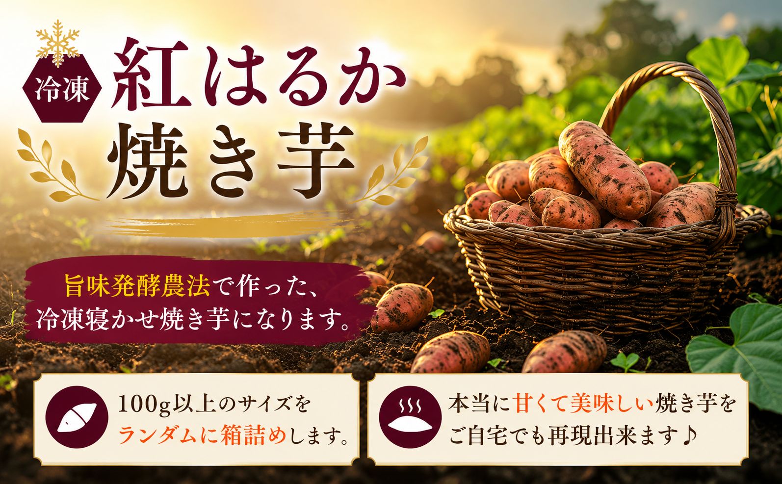 æšèè 5kg çŽ
ã¯ãã çŒãè ãã€ãŸãã ãµããã€ã¢