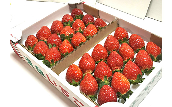 No.154 こだわり完熟苺（おいCベリー）900g