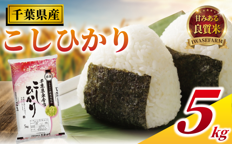 コシヒカリ 5kg 米 お米 こめ コメ こしひかり 7年度産 千葉県産 kome okome 精米 白米 ご飯 ごはん 国産 炊飯 ※ ブランド米 甘い ツヤ 農家直送 数量限定 産地直送 有限会社岩瀬 千葉県 東金