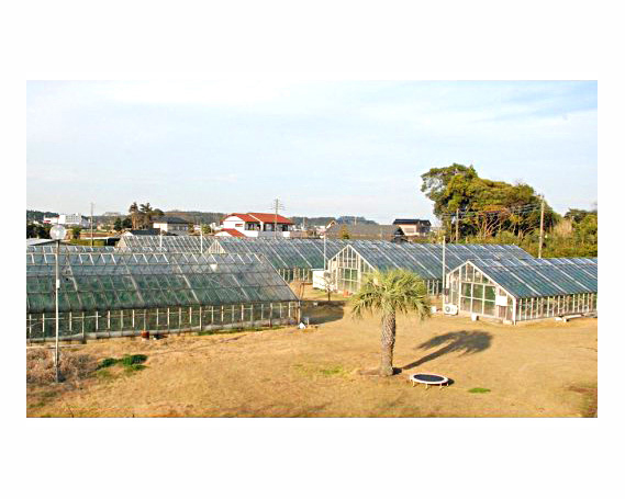 No.070 【約1.3kg以上×2玉】千葉アクアメロン（マスクメロン）大玉