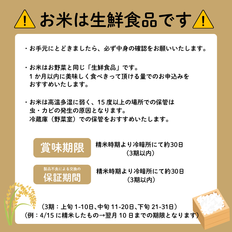 【コシヒカリ 5kg】 【2026年9月以降発送】 米 お米 こしひかり 【令和8年度産】 新米 こめ コメ おこめ okome kome 国産 精米 白米 肉 にあう 魚 にあう おむすび おにぎり おかず にあう 美味しい