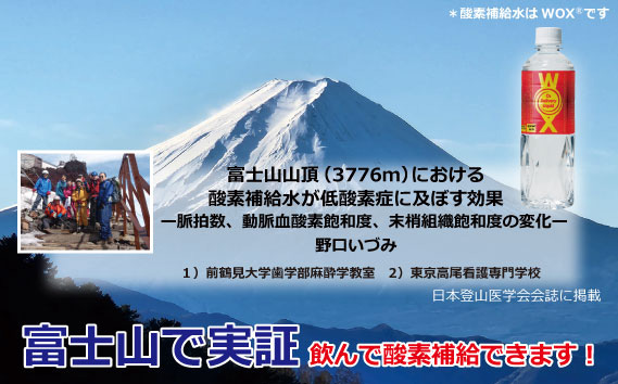 酸素補給水WOXウォックス 500ml×24本