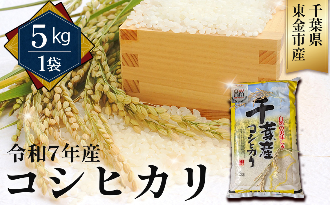 No.342 令和7年産 コシヒカリ5kg（千葉県東金市産）
