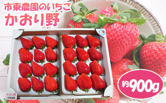 No.074 【市東農園のいちご】かおり野　約900g