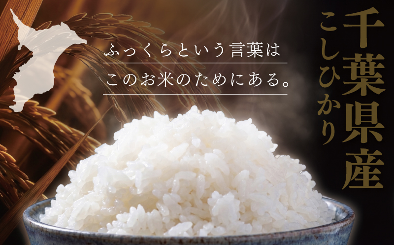 【コシヒカリ 5kg】 【2026年9月以降発送】 米 お米 こしひかり 【令和8年度産】 新米 こめ コメ おこめ okome kome 国産 精米 白米 肉 にあう 魚 にあう おむすび おにぎり おかず にあう 美味しい