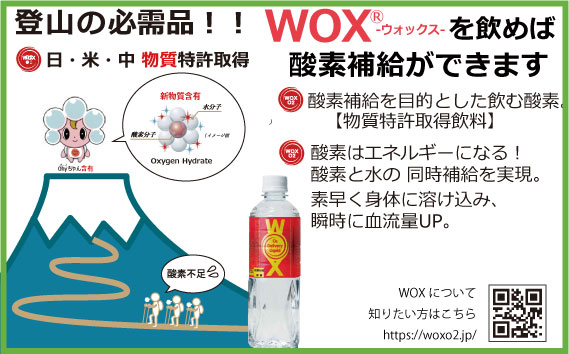 酸素補給水WOXウォックス 500ml×24本
